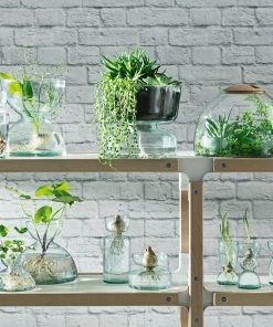 LSA International Canopy Closed Garden Planter 22cm 7 LSA International Canopy Closed Garden Planter 22cm