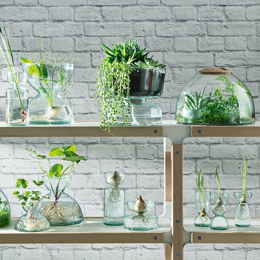 LSA International Canopy Closed Garden Planter 22cm 5 LSA International Canopy Closed Garden Planter 22cm