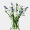 LSA International Flower Garden Posy Vase H 13 Cm Clear 1 LSA International Flower Garden Posy Vase H 13 Cm Clear