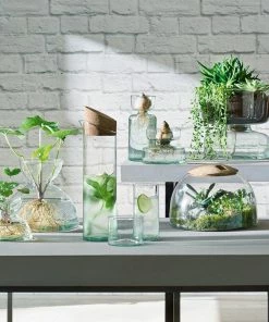 LSA International 22cm Canopy Self Watering Planter 7 LSA International 22cm Canopy Self Watering Planter