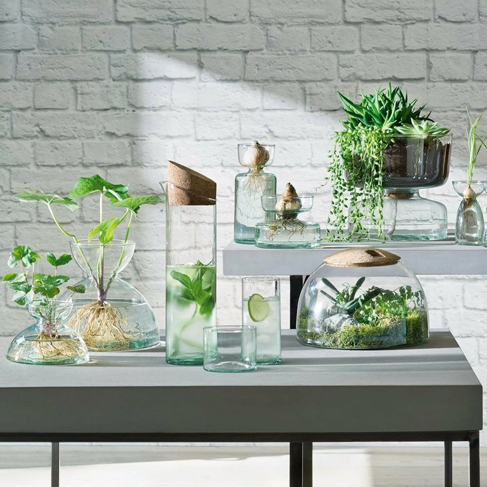 LSA International 22cm Canopy Self Watering Planter 5 LSA International 22cm Canopy Self Watering Planter