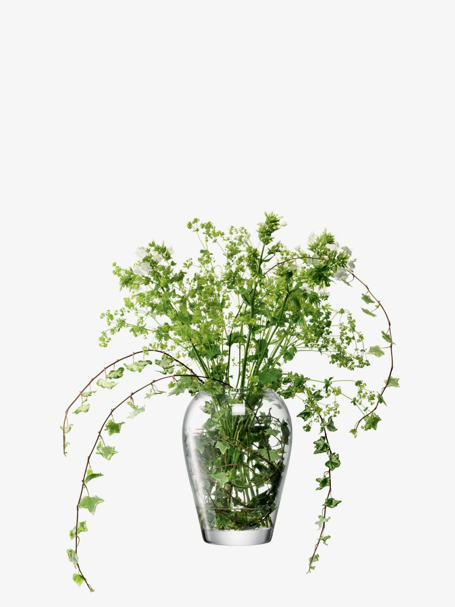 LSA International 25cm Clear Flower Garden Bouquet Vase 6 LSA International 25cm Clear Flower Garden Bouquet Vase