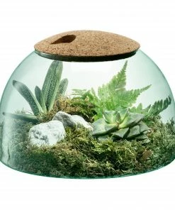 LSA International Canopy Closed Garden Planter 16.5cm