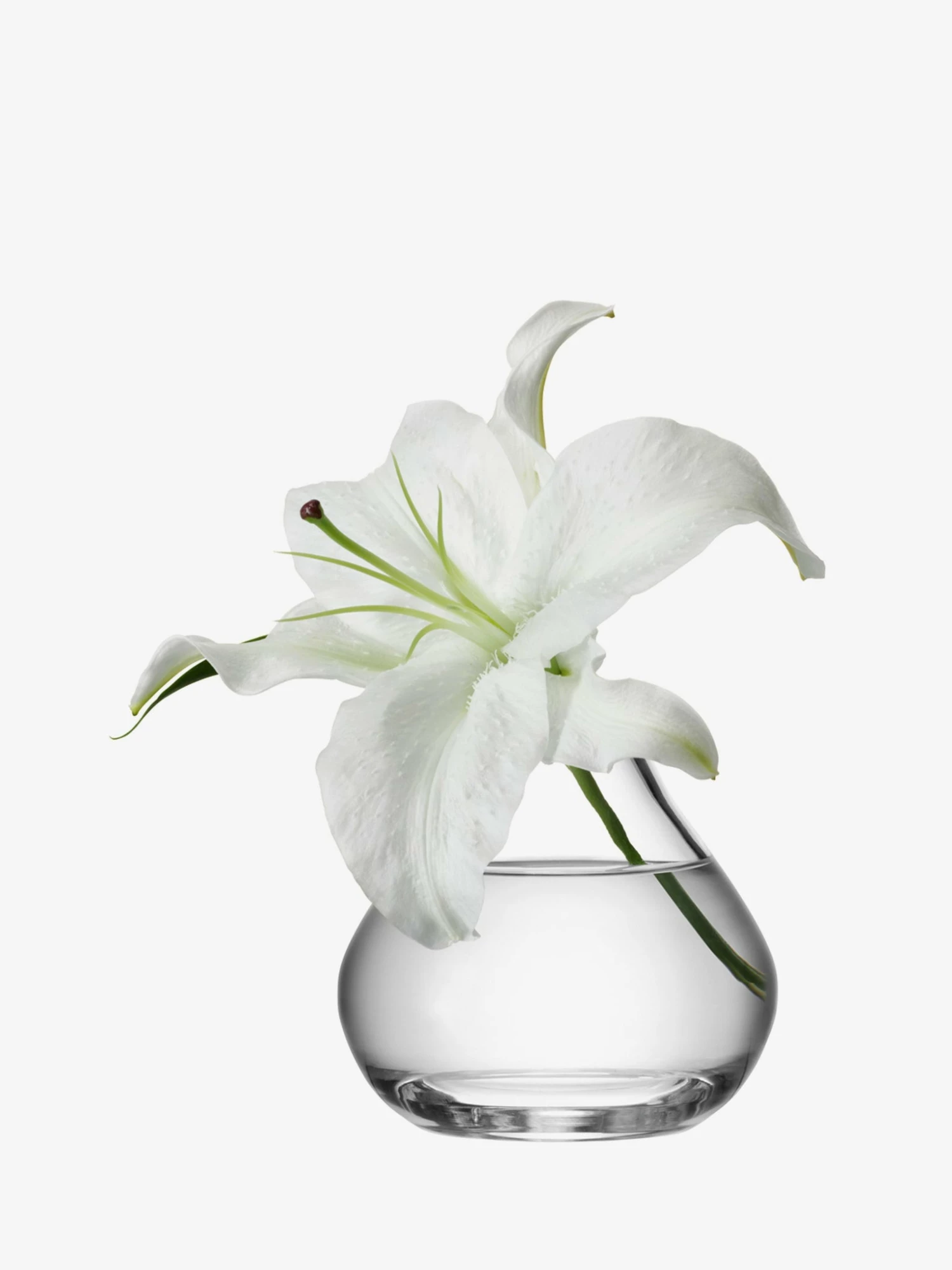 LSA International 11cm Flower Sprig Vase 4 LSA International 11cm Flower Sprig Vase