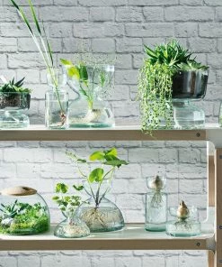 LSA International 13cm Canopy Self Watering Planter 7 LSA International 13cm Canopy Self Watering Planter