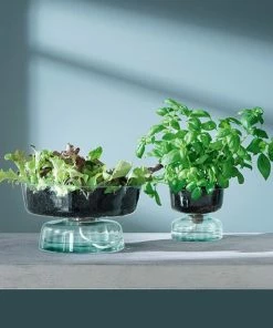 LSA International Canopy Self Watering Planter 14.5cm