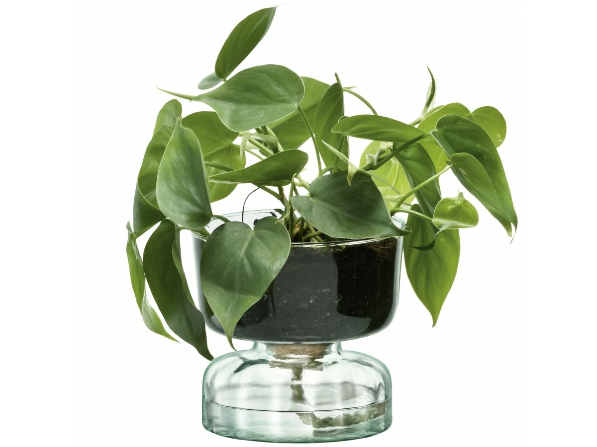 LSA International 13cm Canopy Self Watering Planter 9 LSA International 13cm Canopy Self Watering Planter