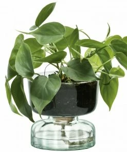 LSA International 13cm Canopy Self Watering Planter