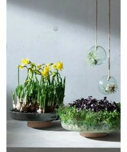 LSA International Canopy Re-Cycled Glass Planting Bowl with Cork Base 28cm 10 LSA International Canopy Re-Cycled Glass Planting Bowl with Cork Base 28cm