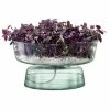 LSA International Canopy Self Watering Planter 14.5cm