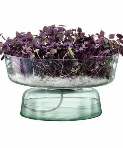 LSA International Canopy Self Watering Planter 14.5cm