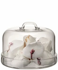 LSA International Serve Plate & Dome - 24cm Diameter