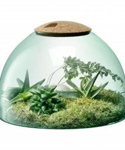 LSA International Canopy Closed Garden Planter 22cm