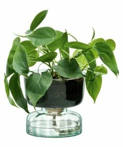 LSA International 13cm Canopy Self Watering Planter