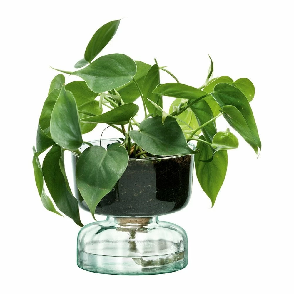 LSA International 13cm Canopy Self Watering Planter 3 LSA International 13cm Canopy Self Watering Planter