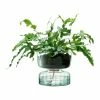 LSA International 22cm Canopy Self Watering Planter 1 LSA International 22cm Canopy Self Watering Planter