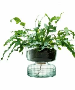 LSA International 22cm Canopy Self Watering Planter