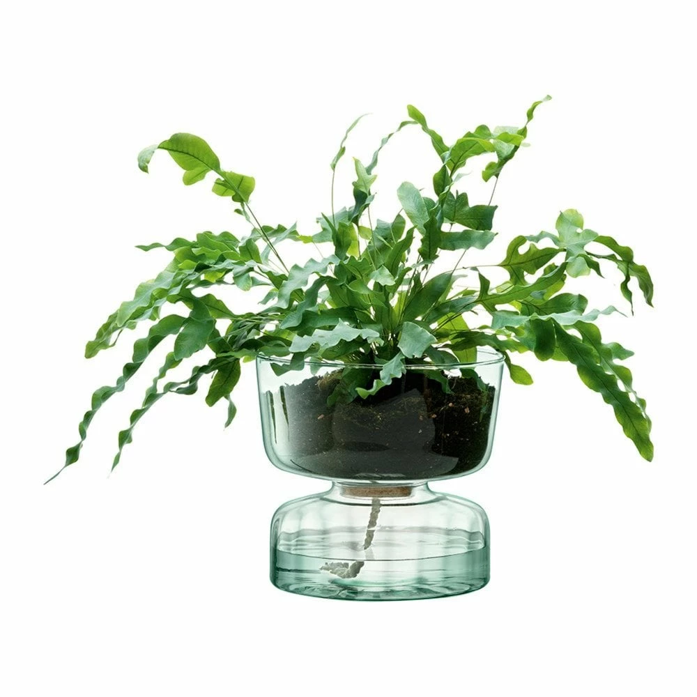 LSA International 22cm Canopy Self Watering Planter 3 LSA International 22cm Canopy Self Watering Planter