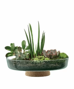 LSA International Canopy Re-Cycled Glass Planting Bowl with Cork Base 28cm 11 LSA International Canopy Re-Cycled Glass Planting Bowl with Cork Base 28cm