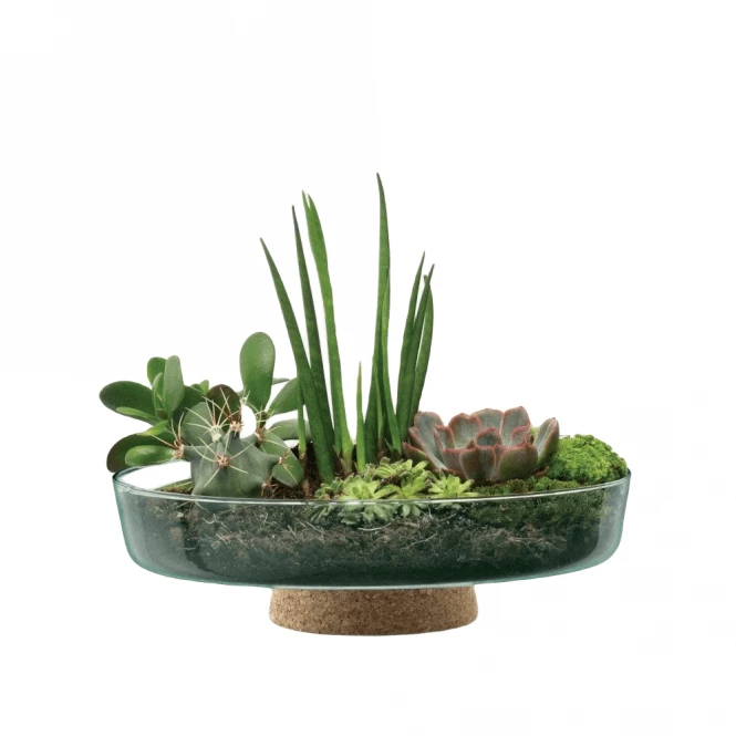 LSA International Canopy Re-Cycled Glass Planting Bowl with Cork Base 28cm 7 LSA International Canopy Re-Cycled Glass Planting Bowl with Cork Base 28cm