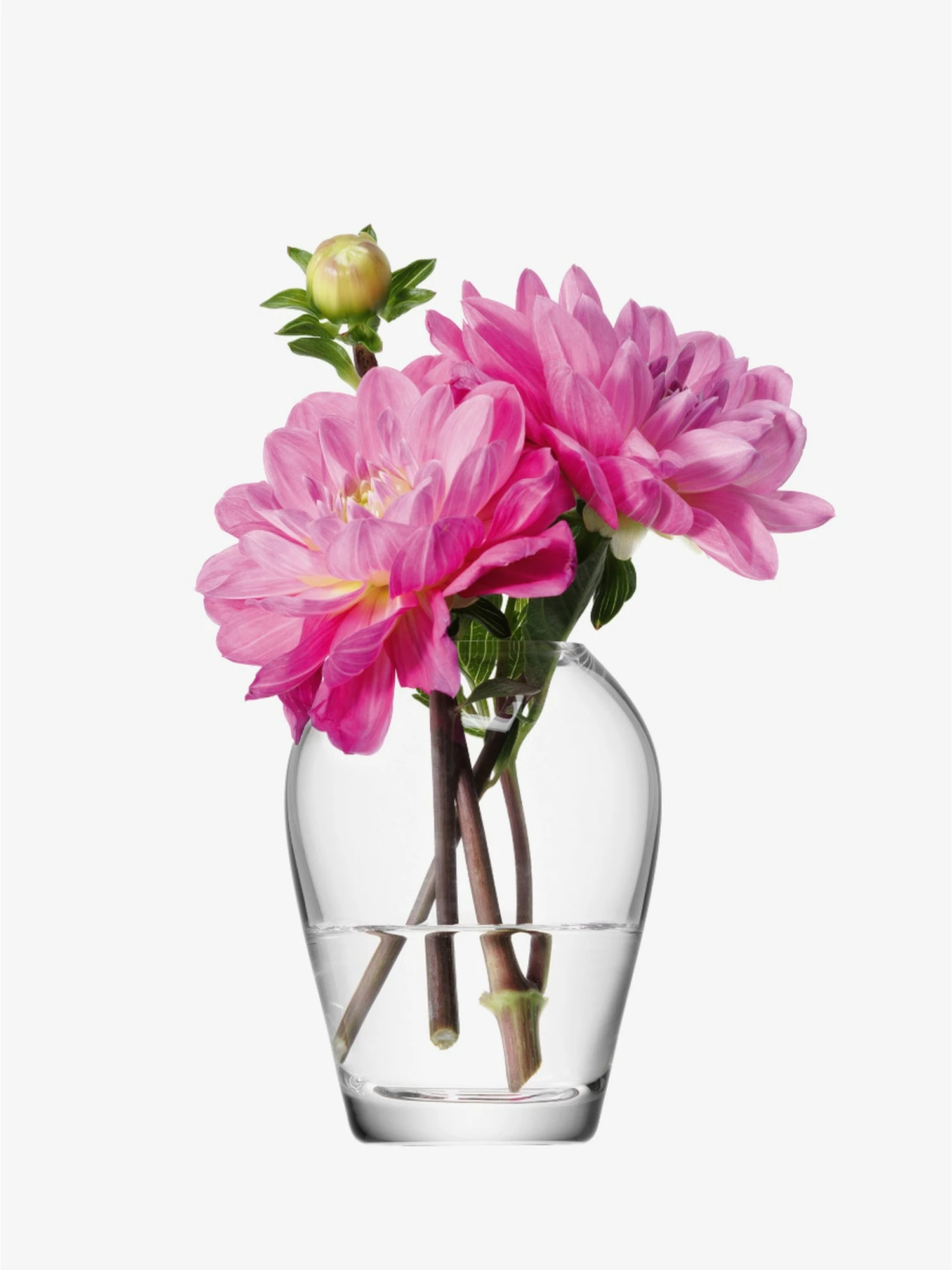 LSA International 9.5cm Clear Flower Mini Bouquet Vase 6 LSA International 9.5cm Clear Flower Mini Bouquet Vase