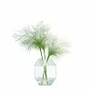 LSA International Clear Rotunda Glass Vase 20cm 1 LSA International Clear Rotunda Glass Vase 20cm