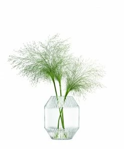 LSA International Clear Rotunda Glass Vase 20cm