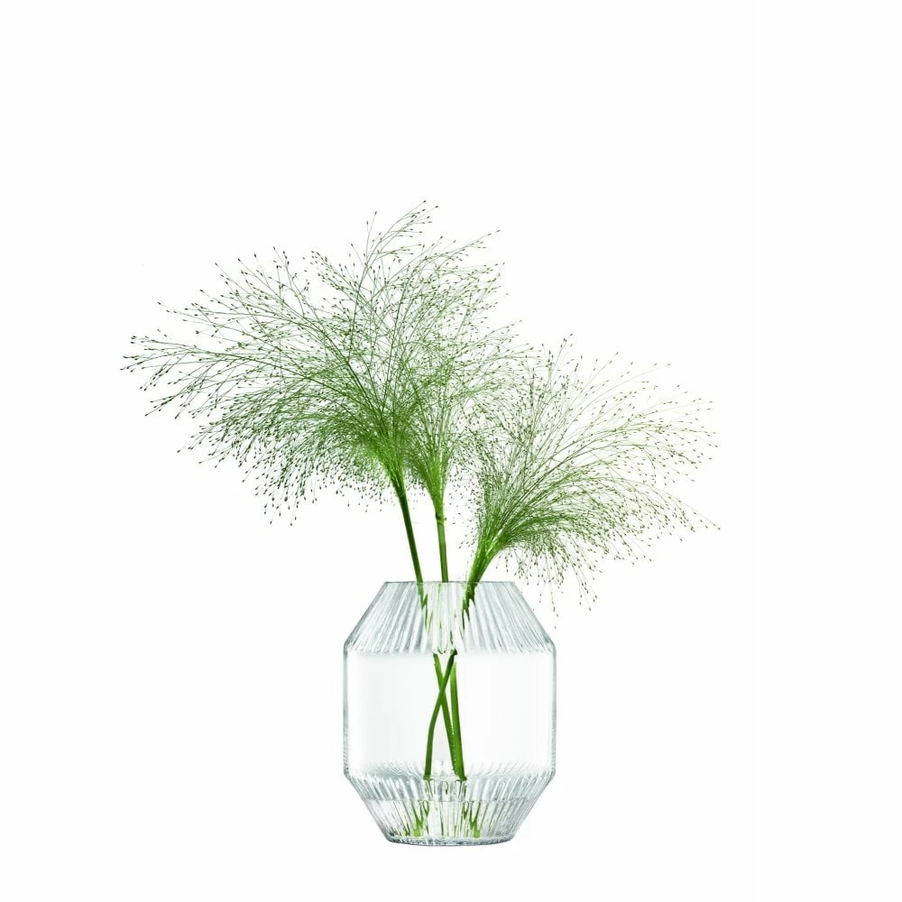 LSA International Clear Rotunda Glass Vase 20cm 3 LSA International Clear Rotunda Glass Vase 20cm