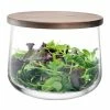 LSA International City Handmade Glass Bowl with Walnut Lid 22 cm 2 LSA International City Handmade Glass Bowl with Walnut Lid 22 cm