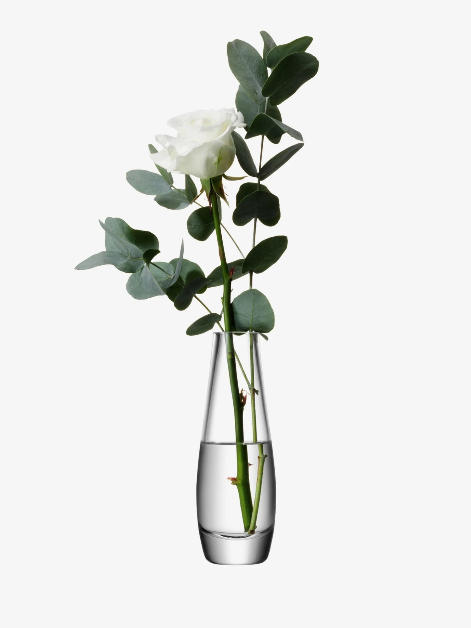 LSA International 17cm Clear Flower Single Stem Vase 6 LSA International 17cm Clear Flower Single Stem Vase