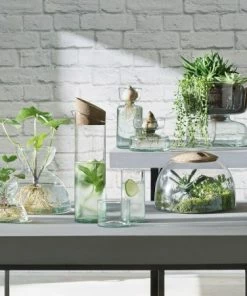 LSA International 13cm Canopy Self Watering Planter 14 LSA International 13cm Canopy Self Watering Planter