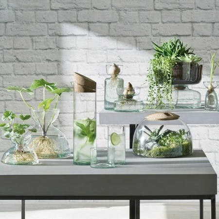 LSA International 13cm Canopy Self Watering Planter 8 LSA International 13cm Canopy Self Watering Planter